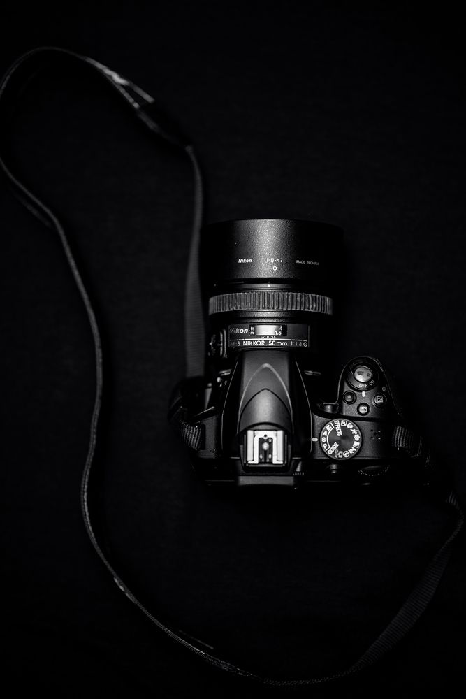 Photograph by Akeem Chandler-Prescod