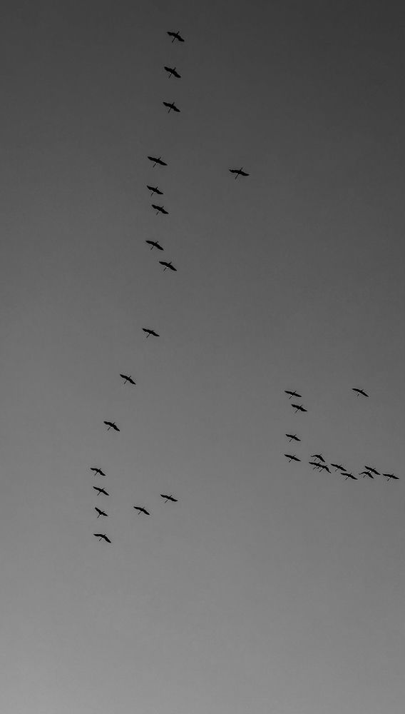 Photograph by Marina Hammerschmidt