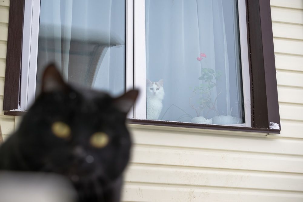 Photograph by Хабаров Сергей