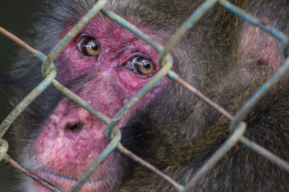 Photograph by Shehan Dondeenu