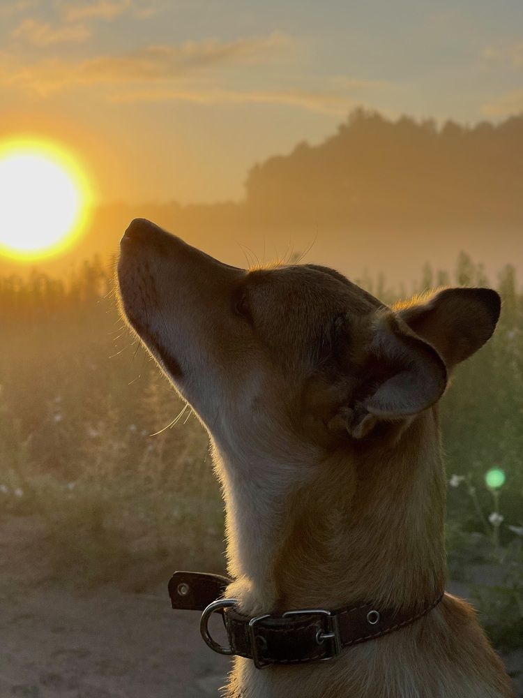 Photograph by Екатерина Павловец