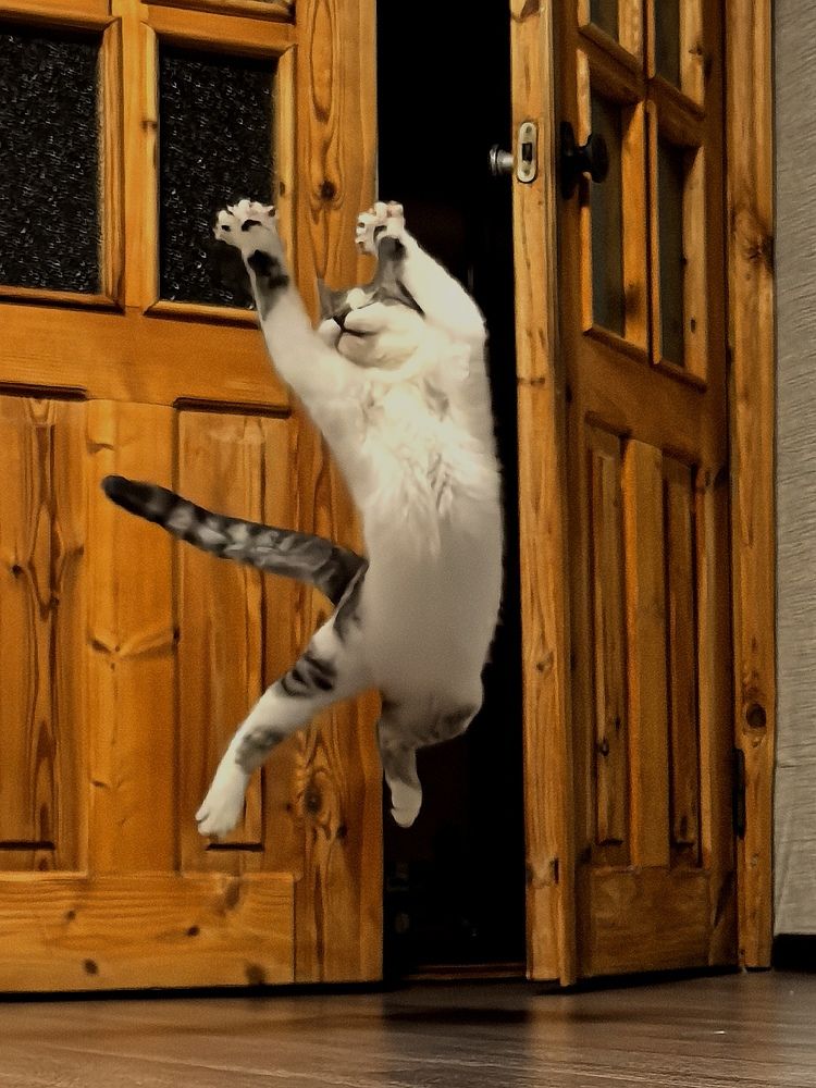 Photograph by Александр Сипаров