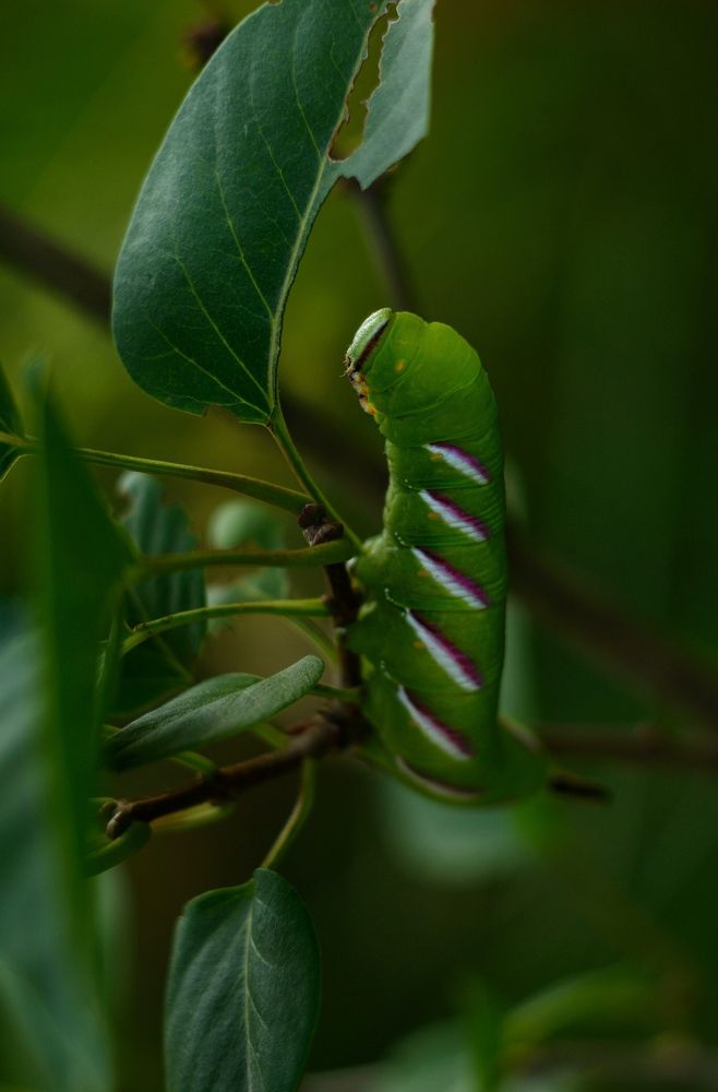 Photograph by Юлия Марфонова