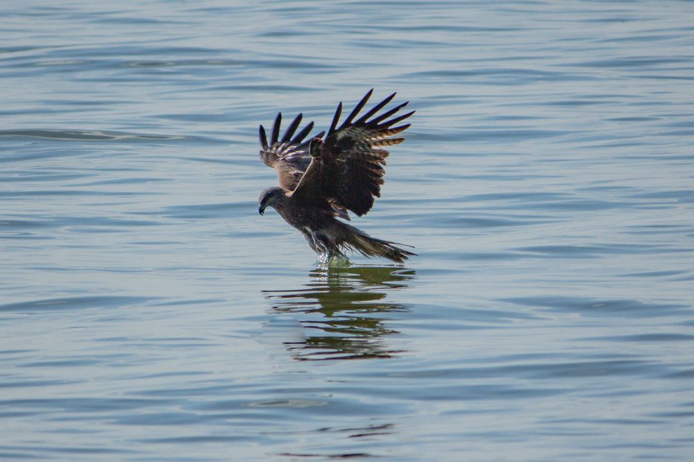 Photograph by Ольга Ильина