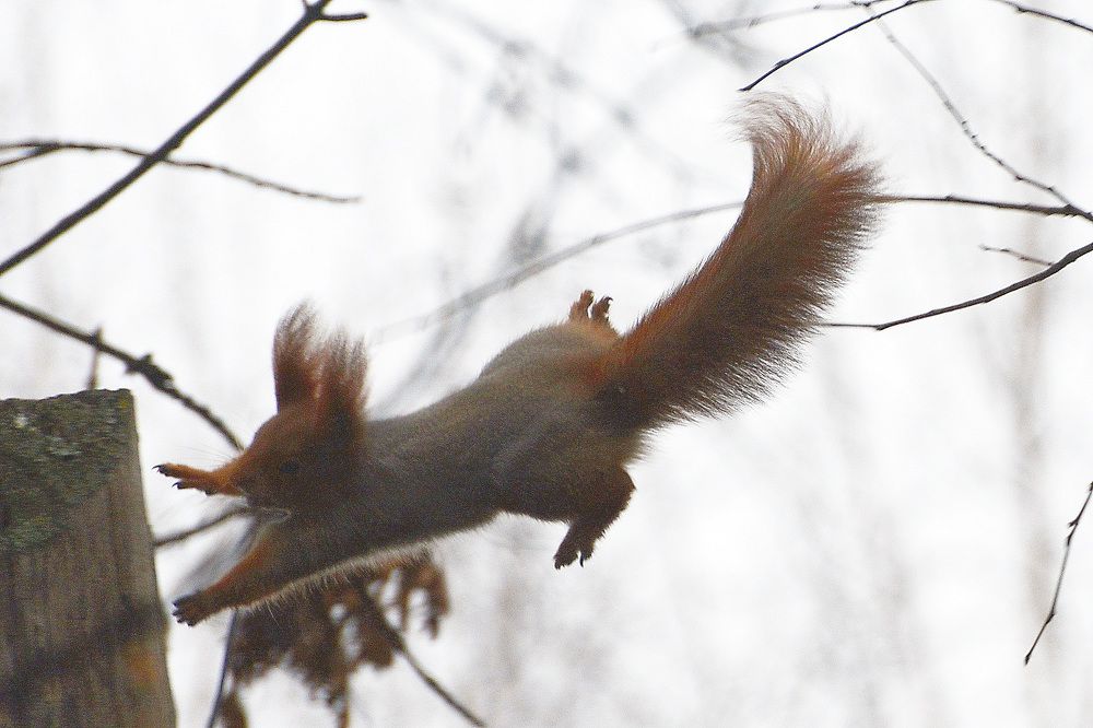 Photograph by Фарит Зиатдинов