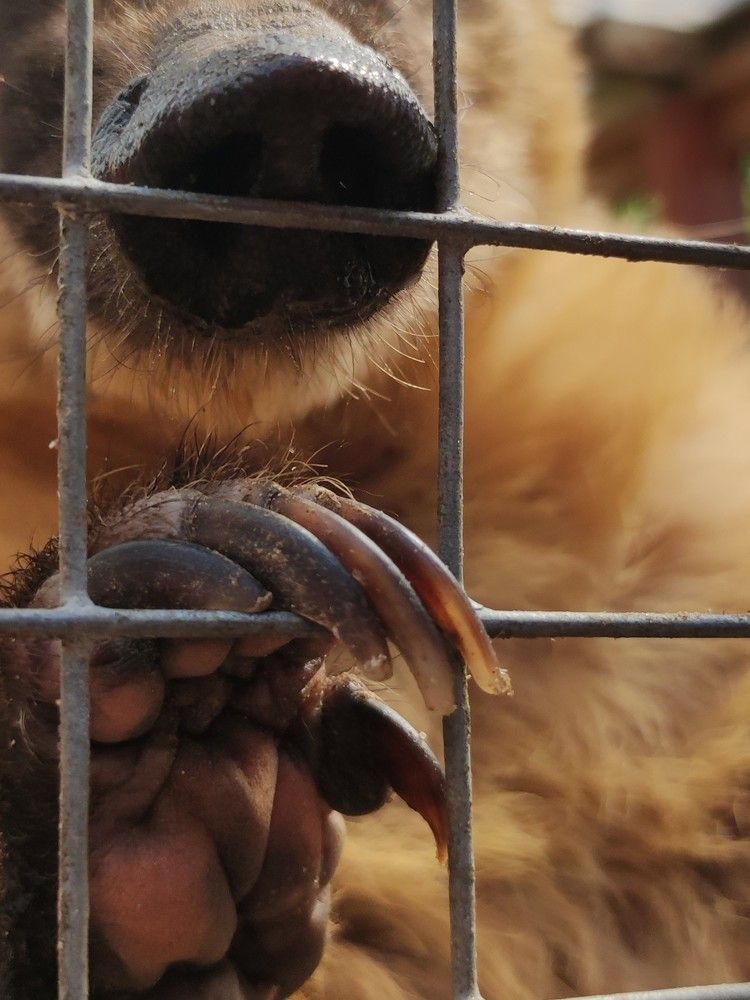 Photograph by Юлия Бурминская