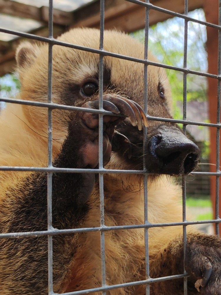 Photograph by Юлия Бурминская