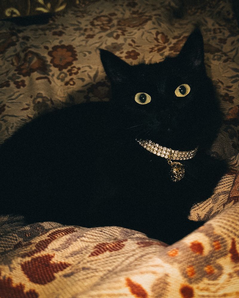 Photograph by Олеся Бронзова