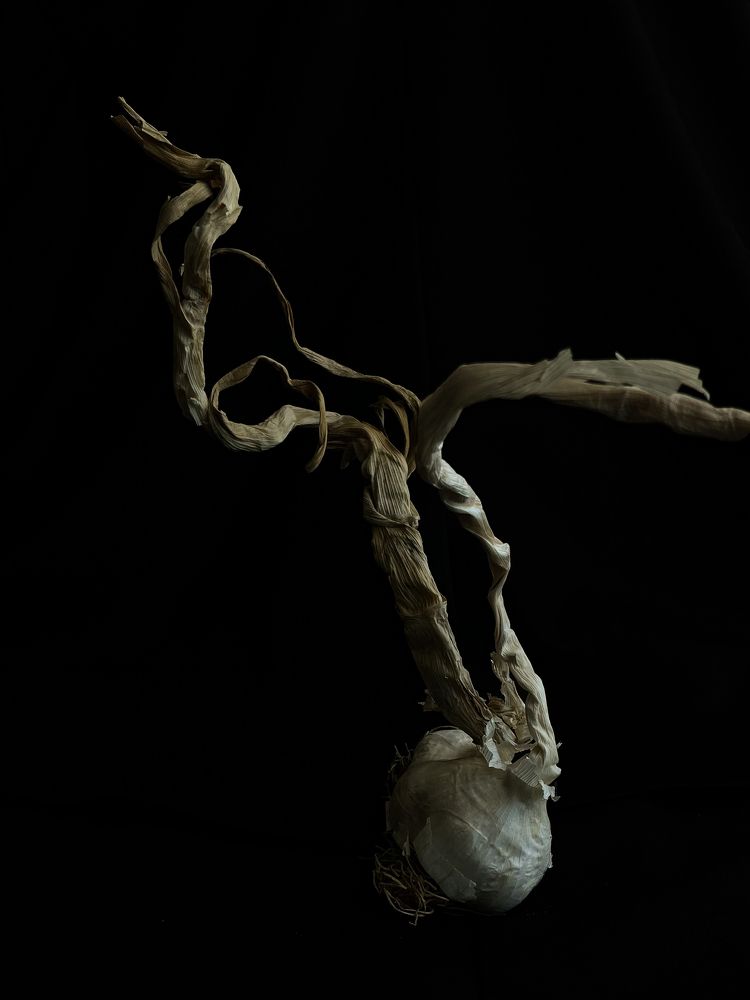 Photograph by Наталья К