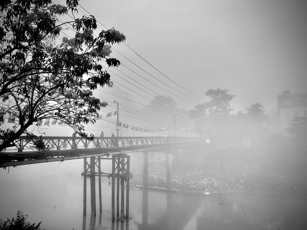 Photo #11305950