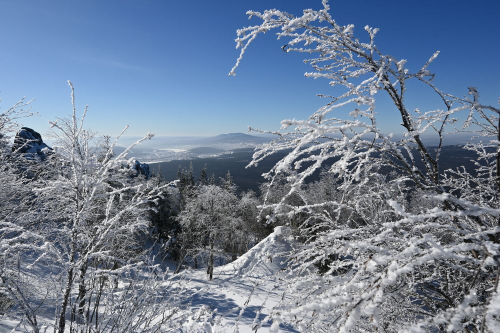 Photograph by Дарья Ростовцева