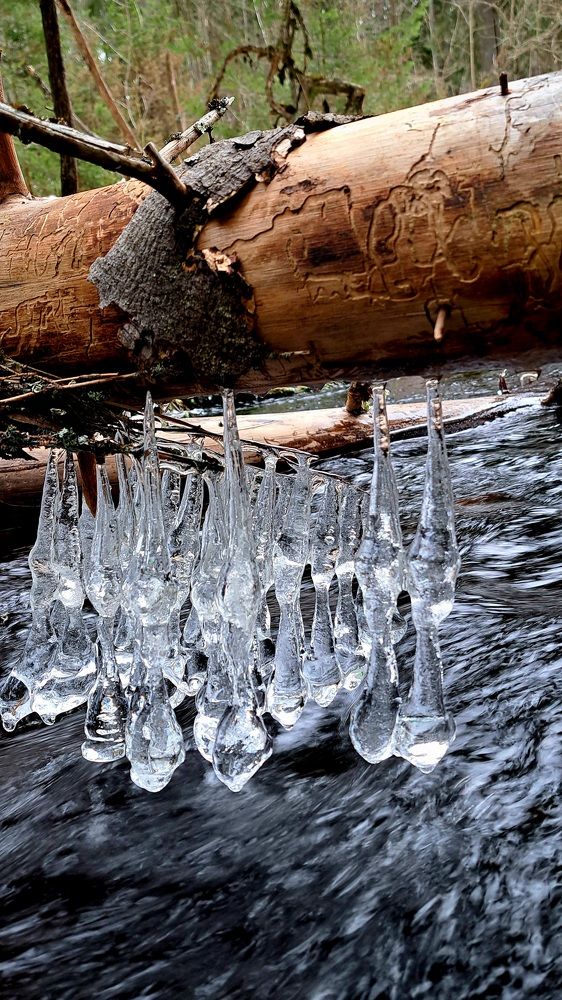 Photograph by Галина Перепечаева