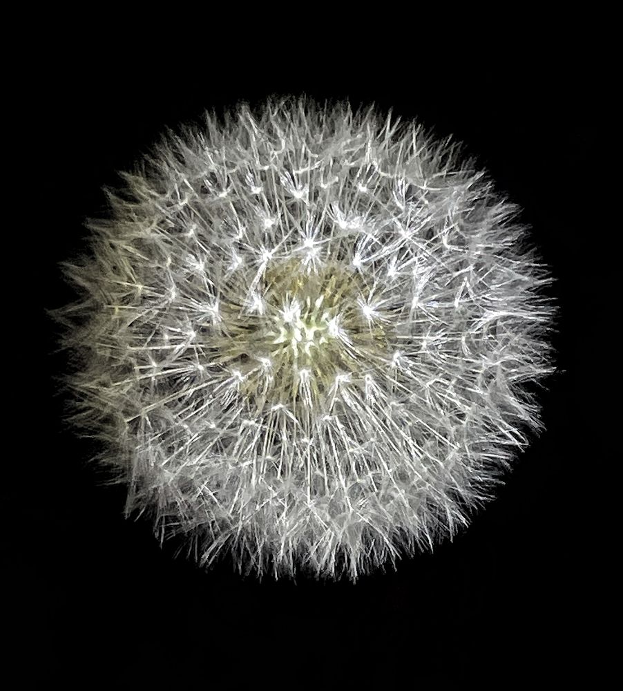 Photograph by Nadya Sterligova