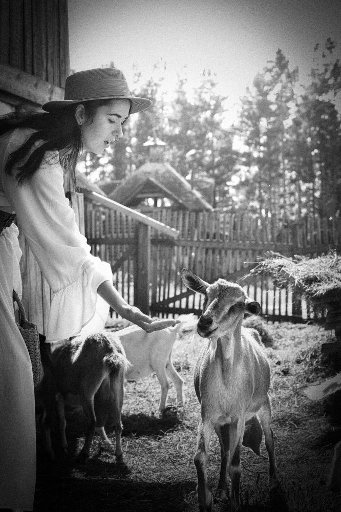 Photograph by Павлушина Ольга