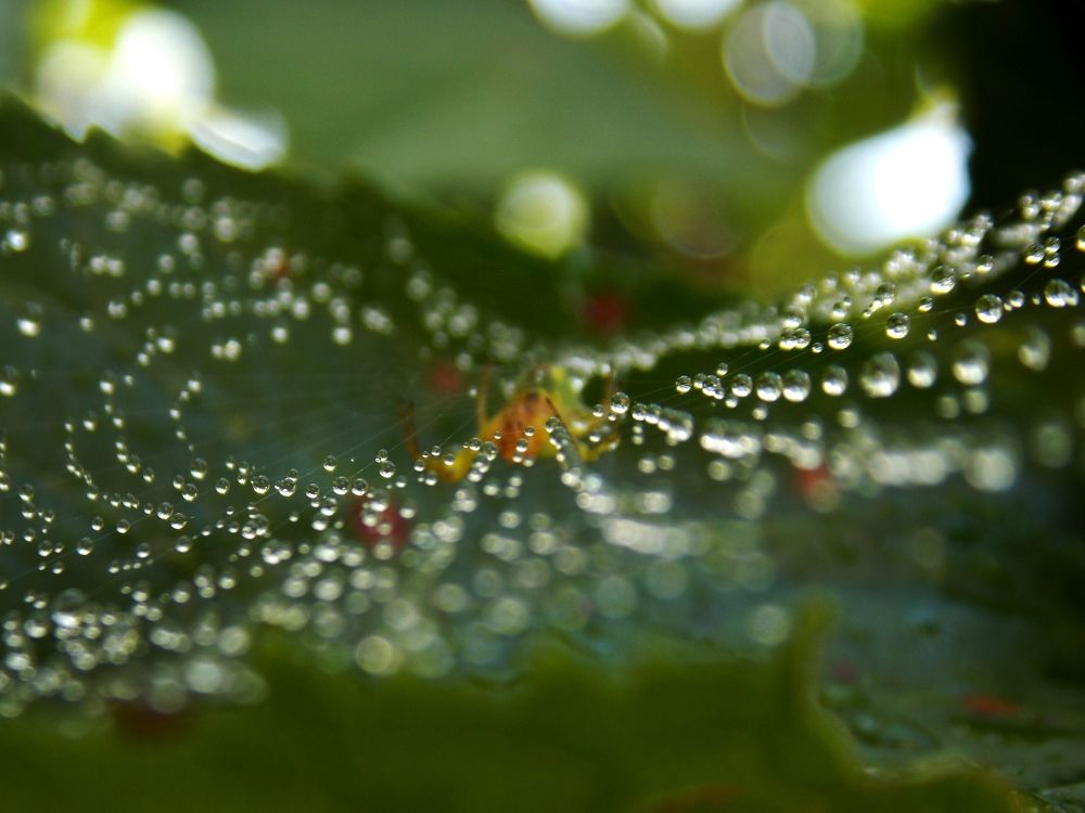 Photograph by Olja Simovic