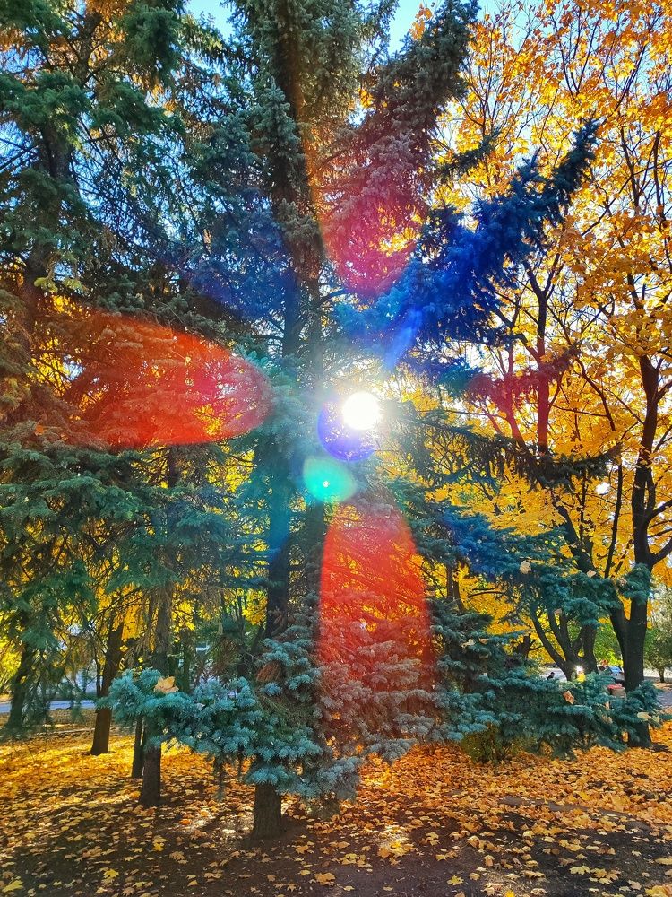 Photograph by Анна Напримерова