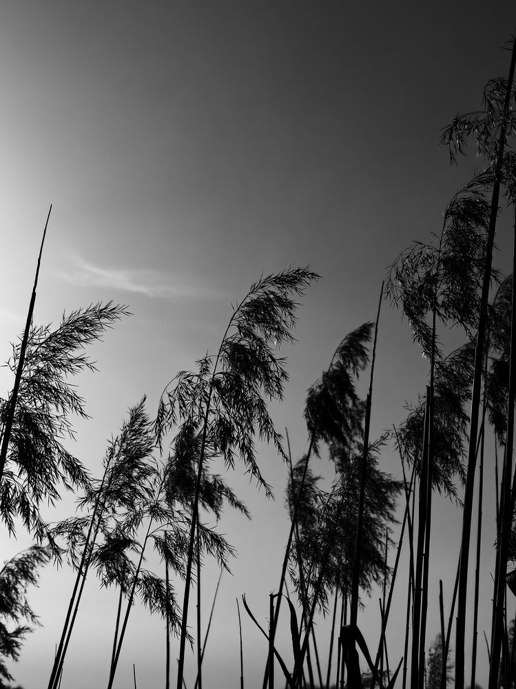 Photograph by Алёна