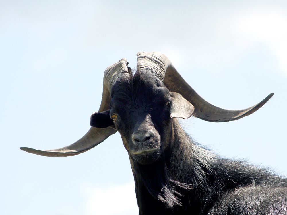 Photograph by Алексей Коношонкин