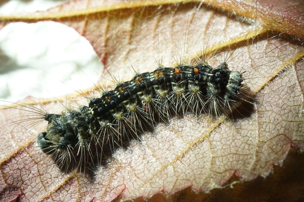 Photograph by Михаил Трусов