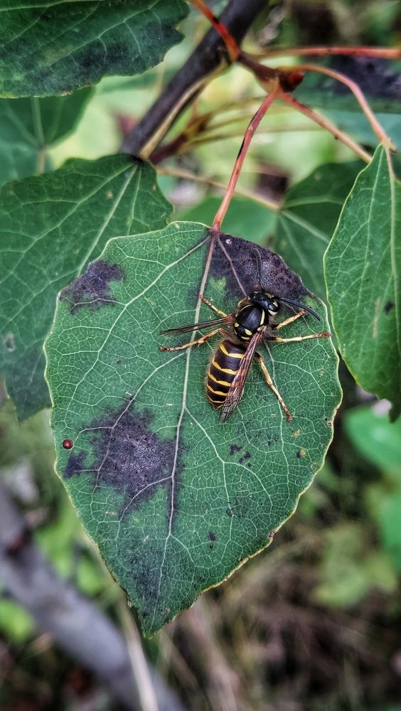 Фотография автора Анастасия Руднева