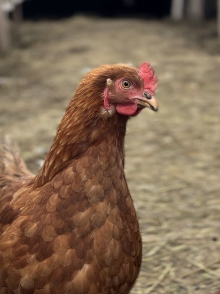 Photograph by Марина Федотова