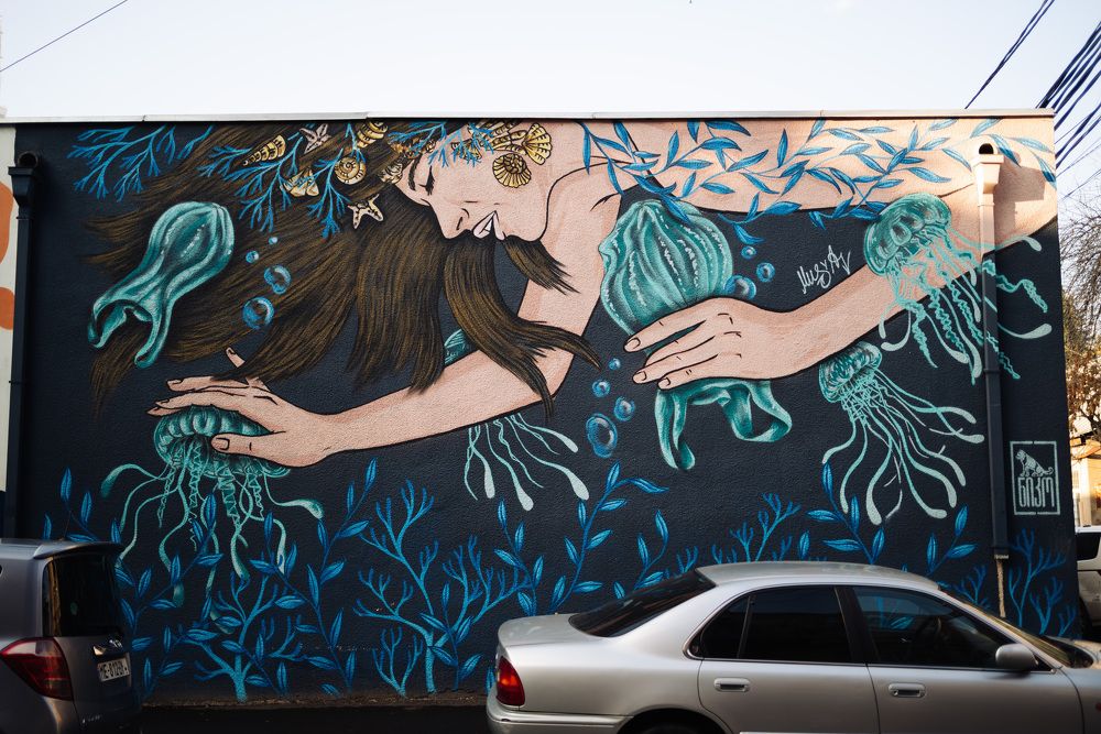 Photograph by Viktoriia Shin