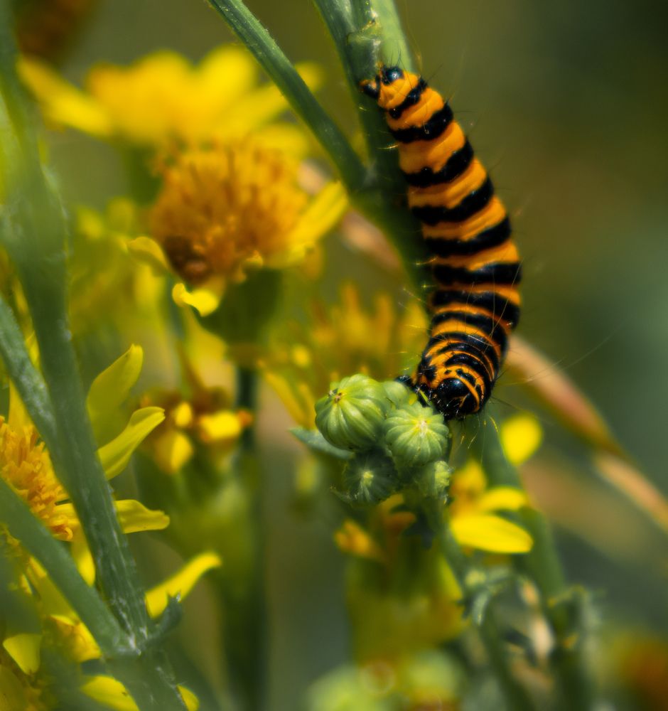 Photograph by Vitalii Kaznin