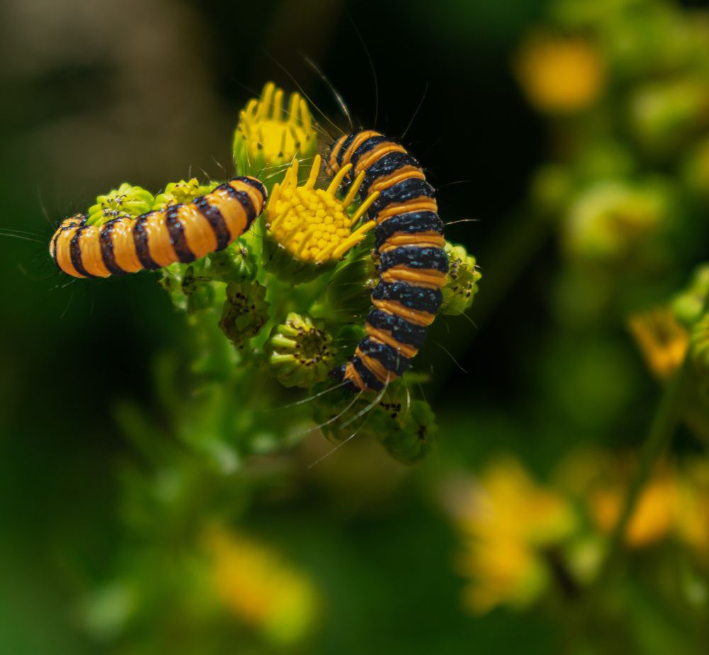 Photograph by Vitalii Kaznin