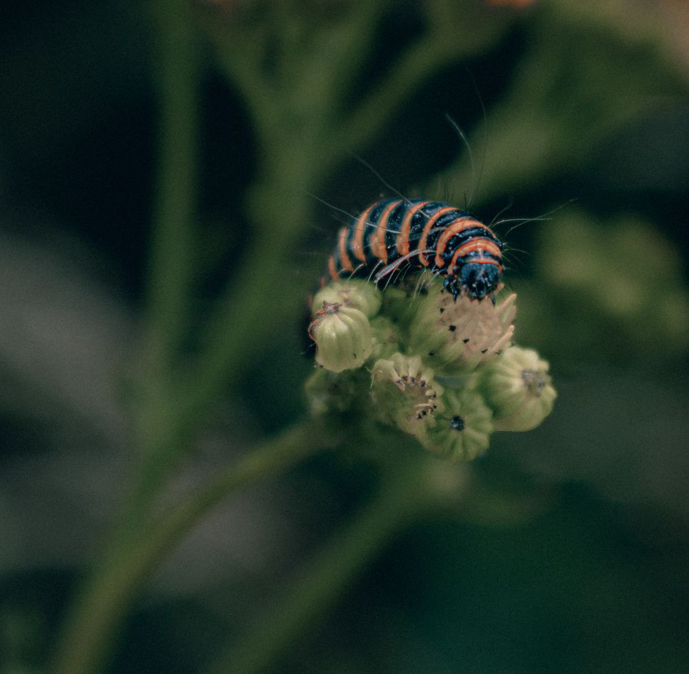 Photograph by Vitalii Kaznin