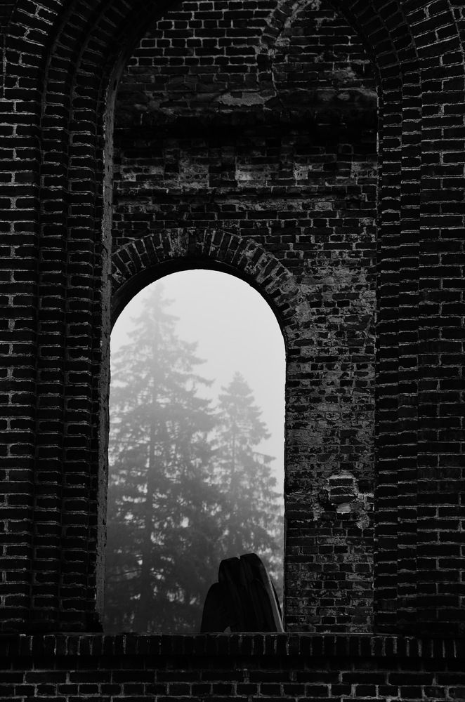 Photograph by Алёна