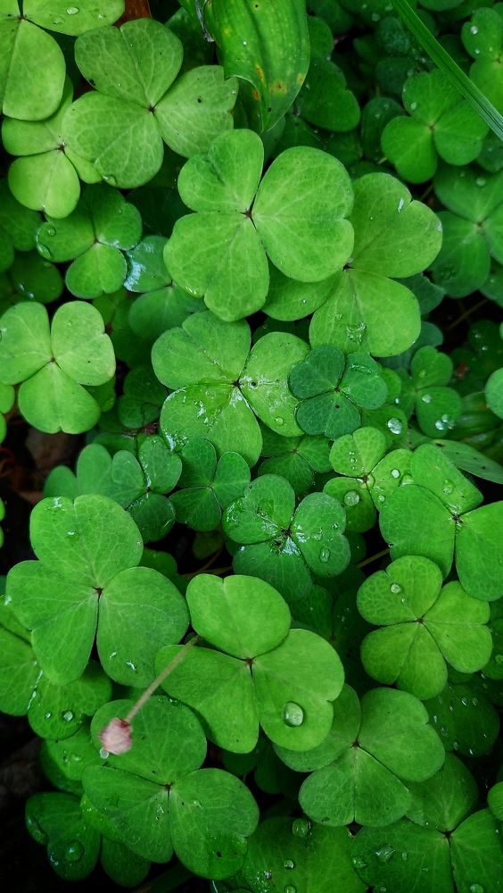 Фотография автора Анастасия Руднева