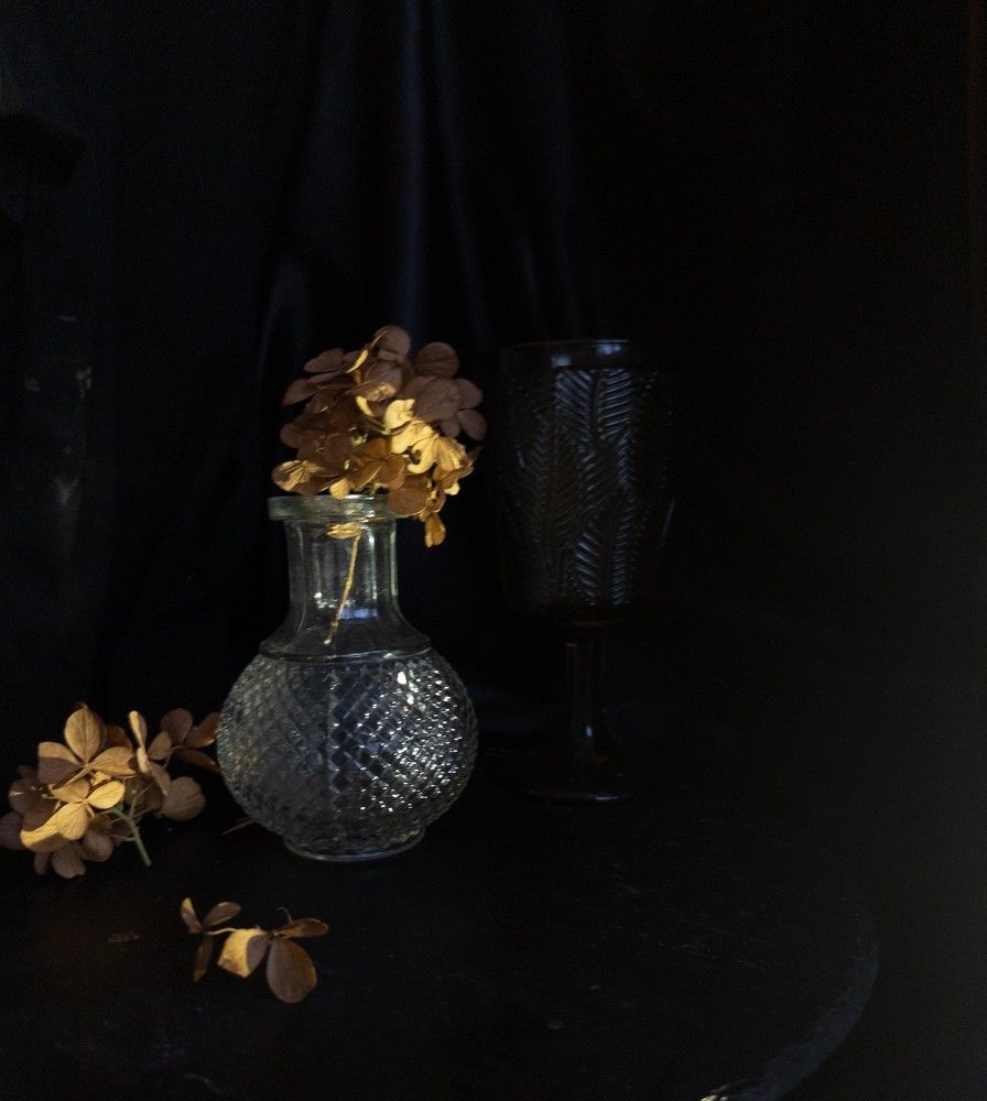 Photograph by Кадушкевич Елена