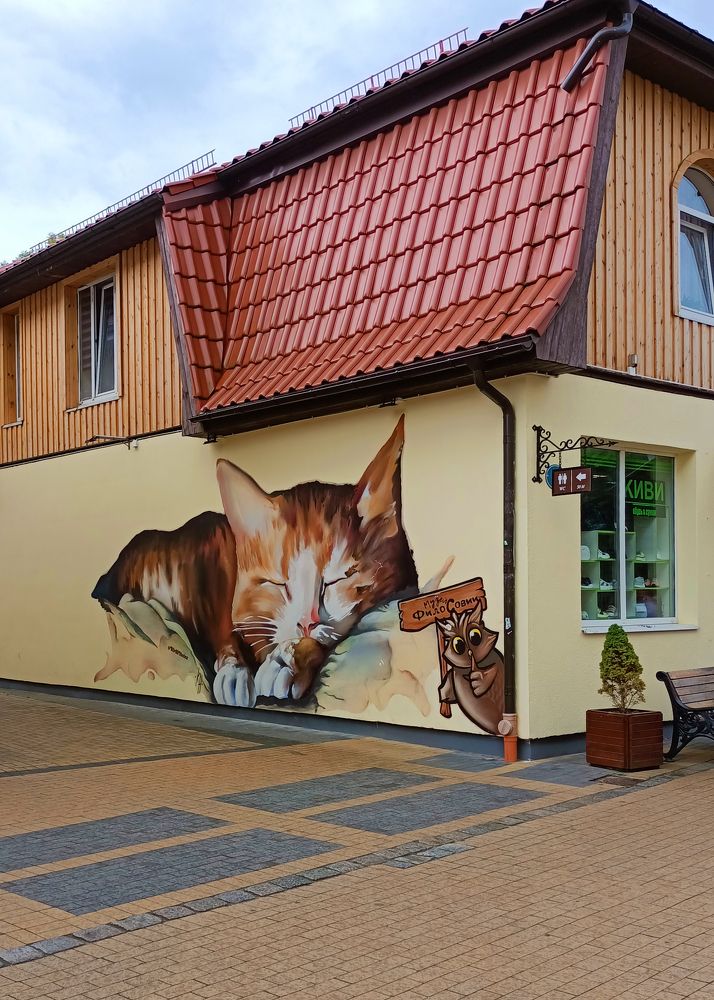 Photograph by Zhdanova Maria