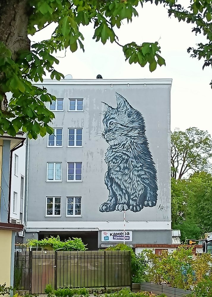 Photograph by Zhdanova Maria