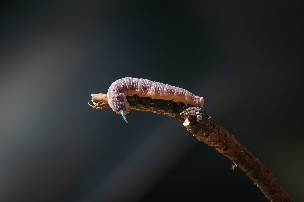 Photograph by Очева Наталья Александровна