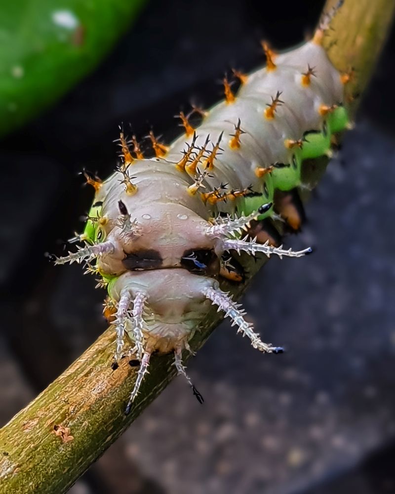 Photograph by adriana menez