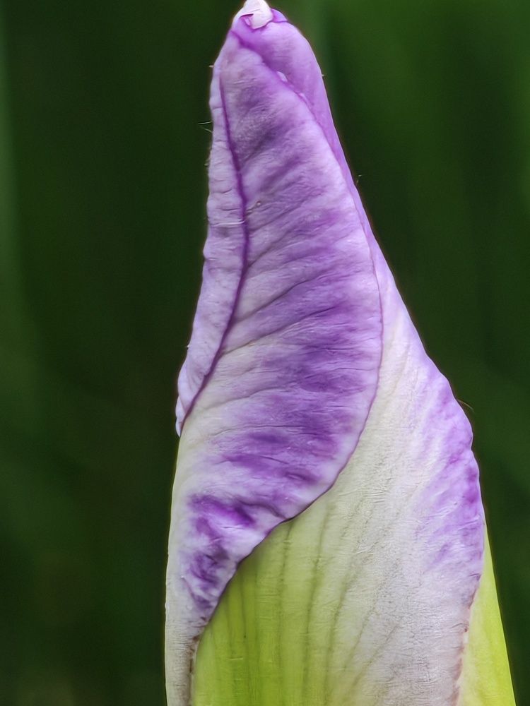 Photograph by Михаил Моисеев