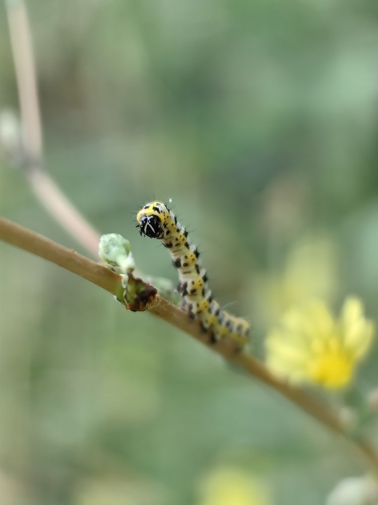 Photograph by Anastasiya