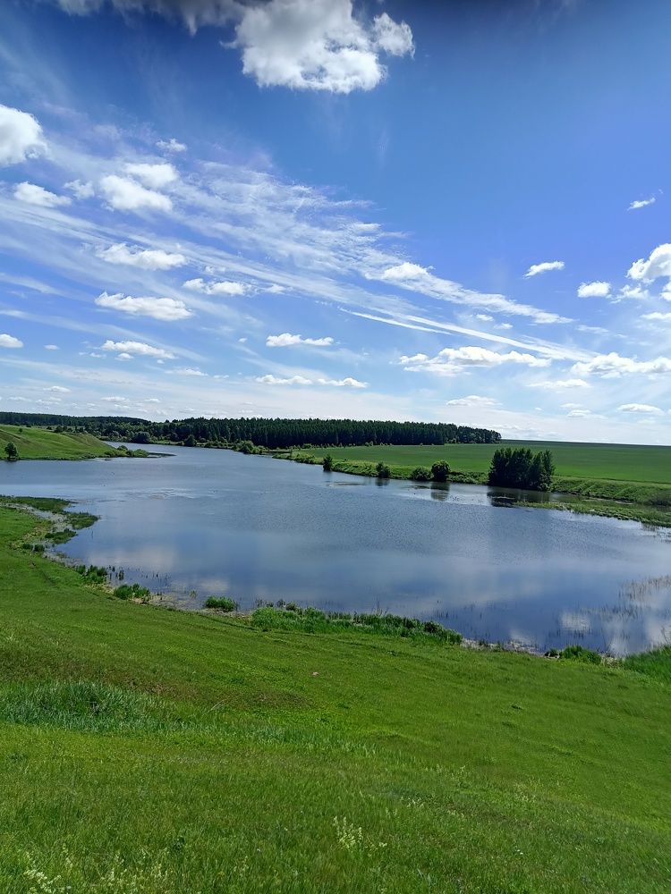 Photograph by Ольга Сергеева