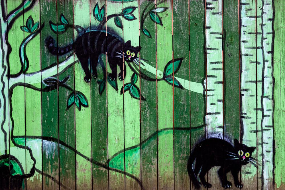 Photograph by Елена Барышева