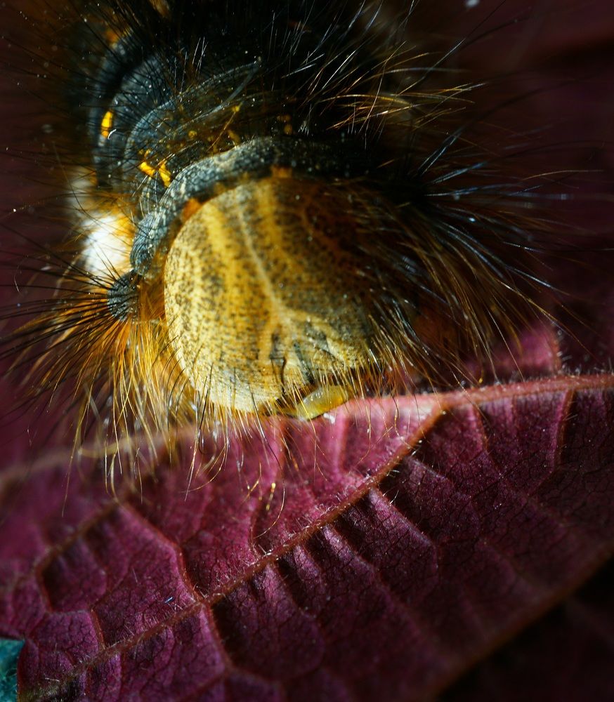 Photograph by Михаил Трусов