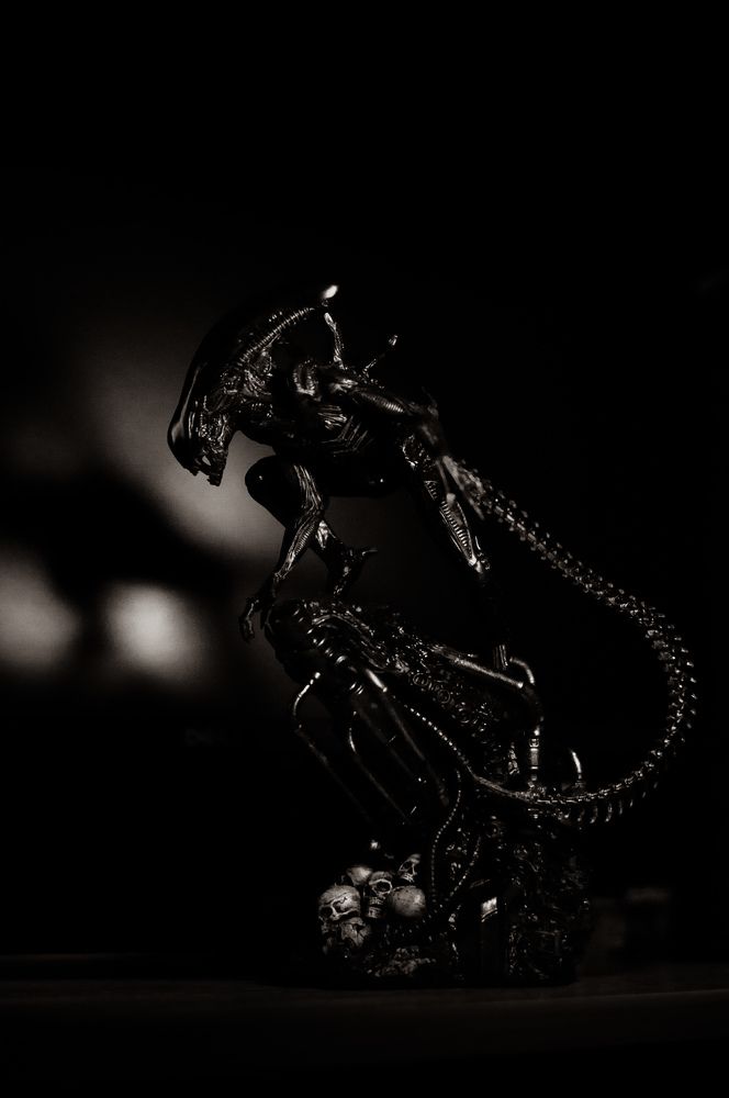 Фотография автора Мария Михайлова