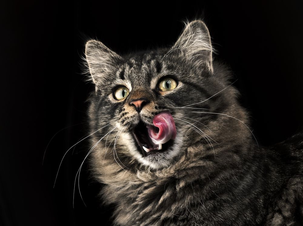 Photograph by Evgeniy Savikov