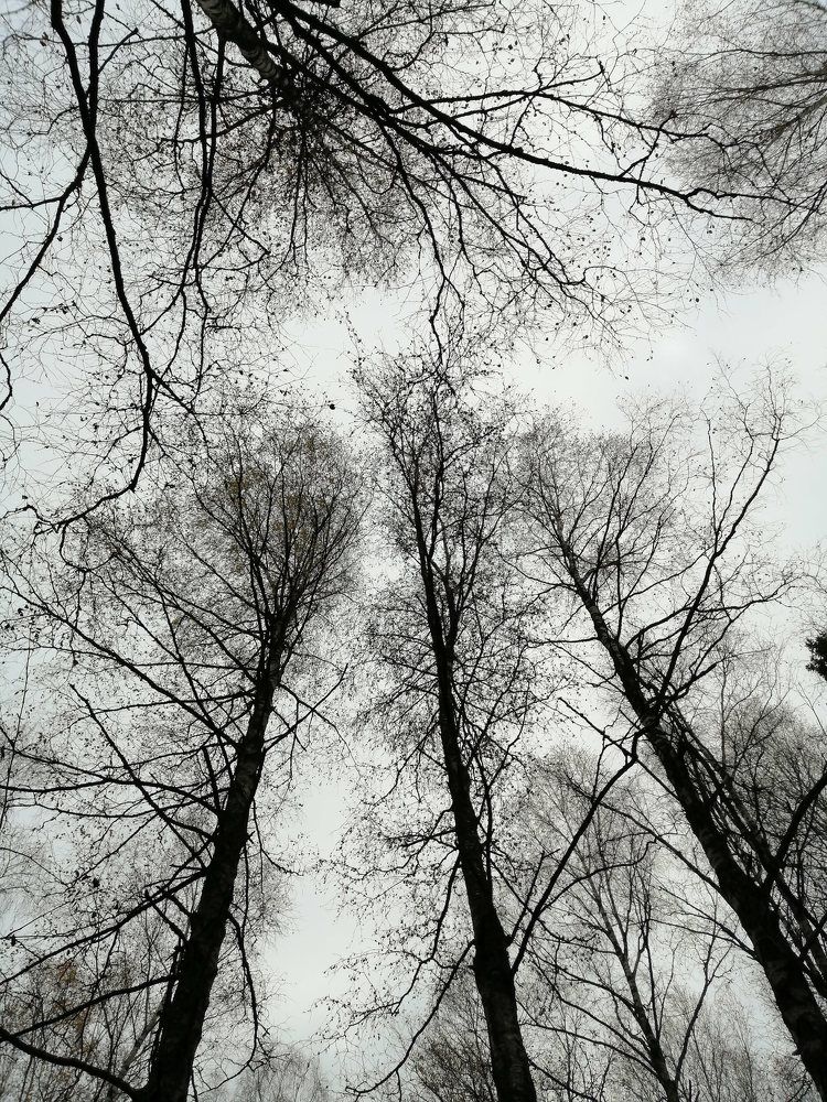 Photograph by Татьяна Ненюхина