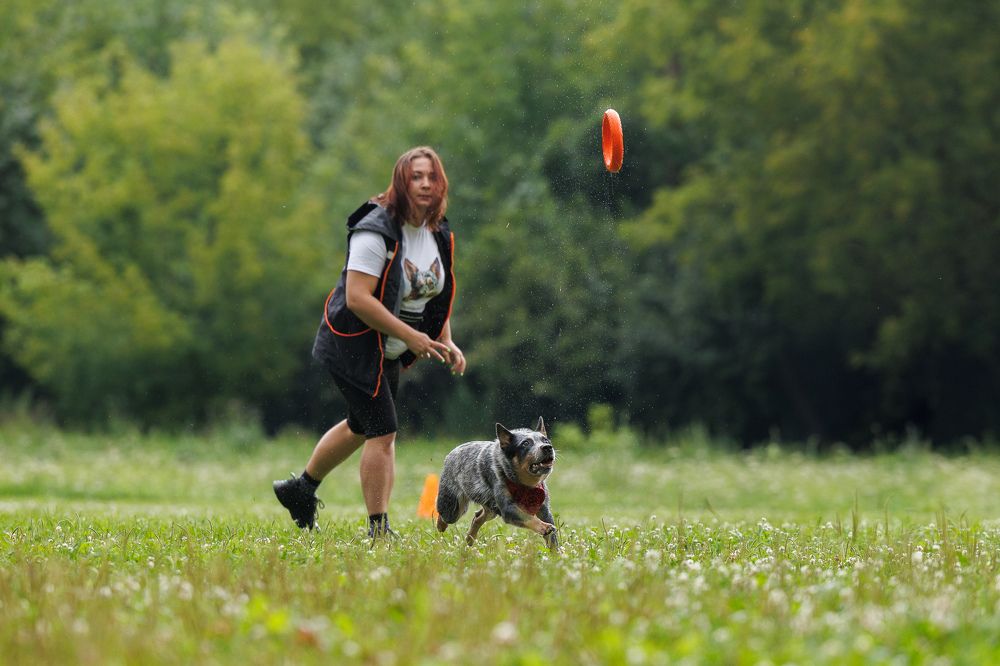 Photograph by Илья Юфа