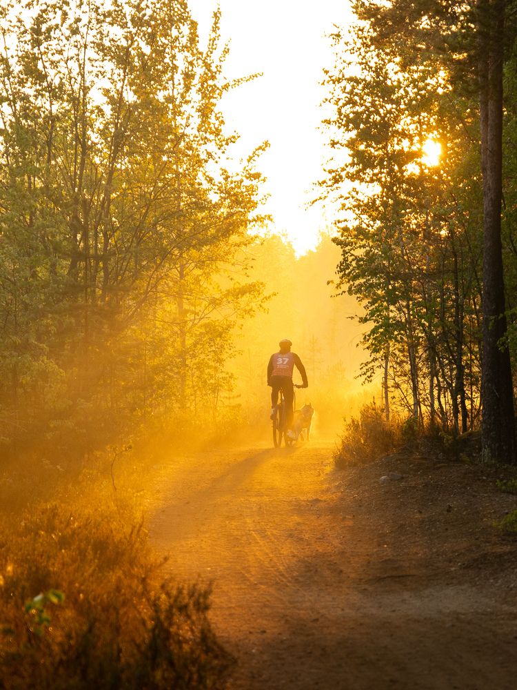 Photograph by Илья Юфа