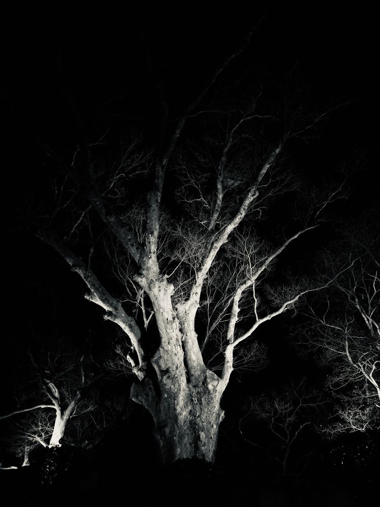 Photograph by Maxim Voronov