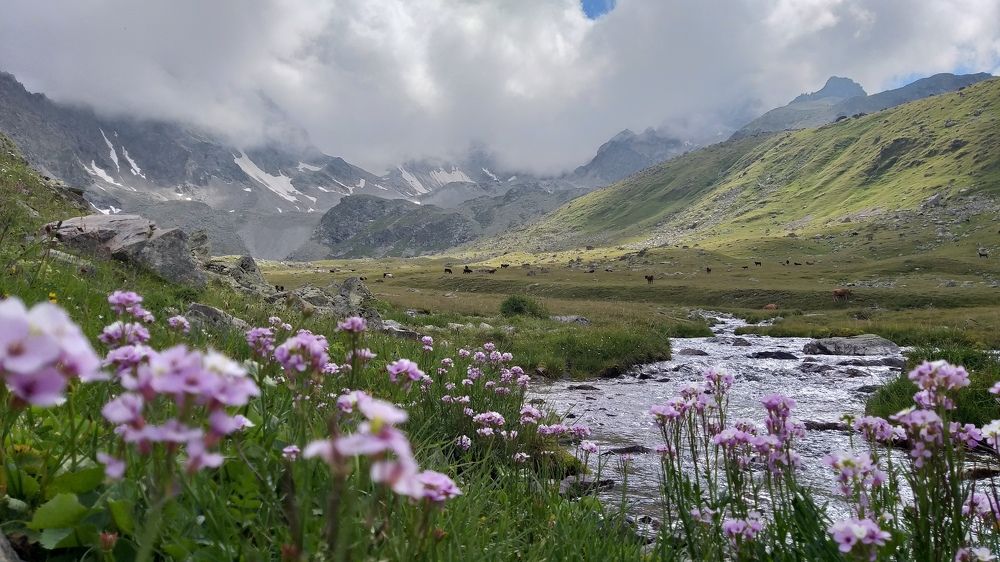 Фотография автора Ирина