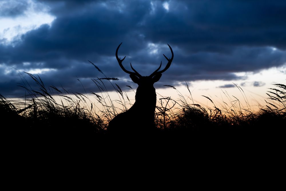 Photograph by Utsunomiya Ryo