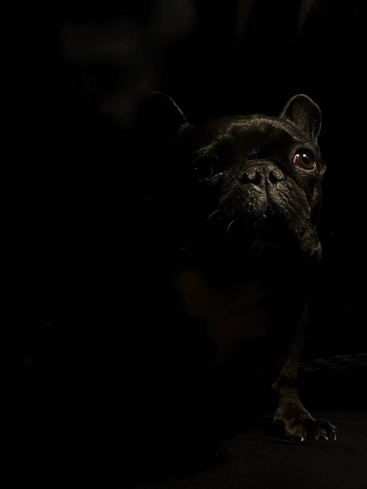 Photograph by Мприна